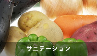 サニテーション